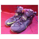Nike Mens LaBron 12 Double Helix Basketball Shoes