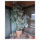 Artificial Plants & Tree