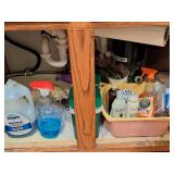 Contents of Cupboard (dish soap,cleaning supplies)