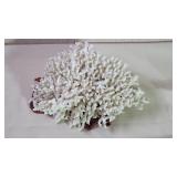 Decorative Natural White Coral