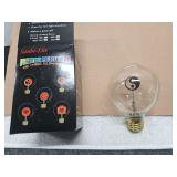 25 Picture Illuminator Light Bulbs