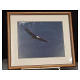 Signed & #ed by Thomas Mangelsen 243/950