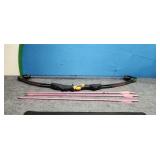 Banshee Quad Compound Bow & 3 Pink Arrows