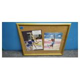 Autographed Lady Skaters Pictures