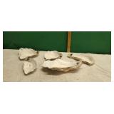 5) Oyster Shells