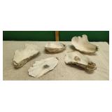 Assortment of Oyster Shells