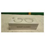 NIB Smart Glasses