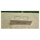 NIB Smart Glasses