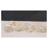 7)  Natural Oyster Shells