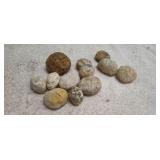 Assortment of Geodes