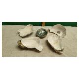 Five Shells