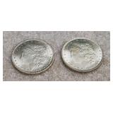 Two 1895 Morgan Silver Dollars