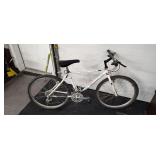 Raleigh 21 Speed Bike