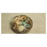 10' Diameter Basket of Sea Shells