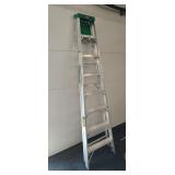 12 ft Gorilla Ladder