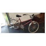 Free Spirit Physio Fit 15 Speed Bike