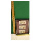 Framed Lunar Operators Licenses