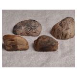 4) Water Tumbled Petrified Wood