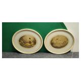 Two Oval Prints 17'ï¿½15'