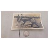 VTG Team Tying West Texas Jack Rabbit Picture