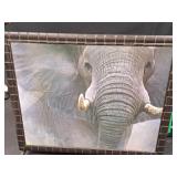 Large Elephant Picture 50' x 41'