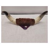 Polished Steer Horns Wall Mount