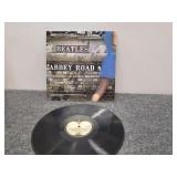 The beatles vinyl/record/Lp