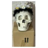 New replica adult skull #4.