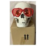 New replica adult skull #6.