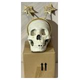 New replica adult skull #2.