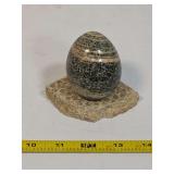Polished Stone Egg and Fossil Coral Slab Display Set