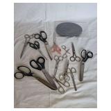 Assorted Metal and Plastic Scissors and Shears Including Wiss Brand