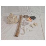 Natural Marine Specimen Grouping Featuring Sea Shells, Corals, and Driftwood