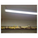 Taxidermy Fish Mounts Display Set of Four