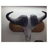 African Buffalo Skull Taxidermy Mount with Wooden Wall Plaque