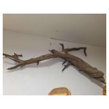 Natural Wood Branch Driftwood Wall Art Specimen