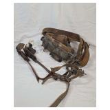 Leather Lineman Safety Belt and Steel Climbing Spurs