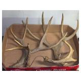 Antlers, Set of Four Pieces