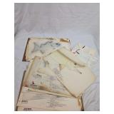 Group of Taxidermy Fish Pattern and Instruction Sheets with Hardboard Backing