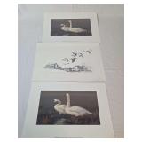 Group of Three Wildlife Art Prints Including 1999-2000 Iowa Ducks Unlimited Sponsor Print and Migrating Honkers Sketch