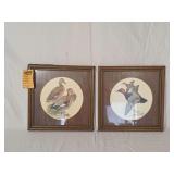 Pair of Framed Duck Wildlife Prints by Franklin