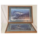 Two Framed Signed Limited Edition Wildlife Art Prints by Tom Carter and Steve Carter