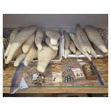 Taxidermy  Form Bodies, Eyes, and Osteoderms