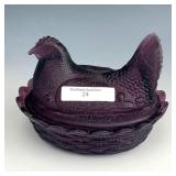 Boyd Amethyst Hen on Nest